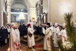 IMG_8463
