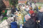 IMG_20250413_111822