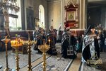 IMG_3382