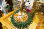 IMG_4050