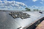 IMG_4529