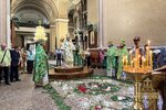 IMG_5220