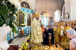 IMG_6545-