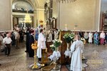 IMG_6719