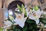 IMG_0003