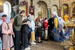 IMG_7428