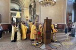 IMG_7597