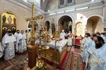 IMG_8242