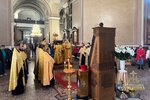 IMG_8711