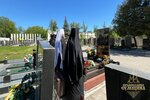 IMG_6553