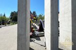 IMG_6560