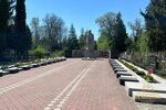 IMG_6564