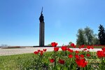 IMG_6574