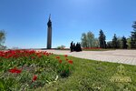 IMG_6598