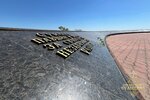 IMG_6601