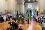 IMG_7681