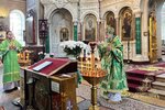 IMG_7917