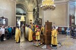 IMG_9636