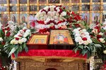 IMG_2817
