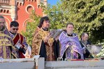IMG_3011-