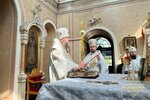 IMG_3229-