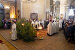 IMG_8917