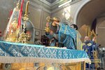 IMG_3778-