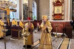 IMG_4550
