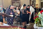 IMG_4520