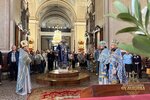 IMG_5545