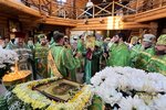 IMG_6538