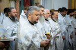 IMG_0411