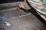 IMG_2550