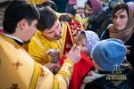 IMG_4147
