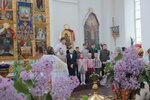 IMG_2929