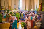 IMG_8778