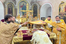 фото Митрополит Євлогій: човен апостолів став образом Церкви Христової